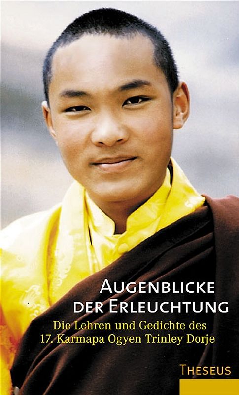 Augenblicke der Erleuchtung