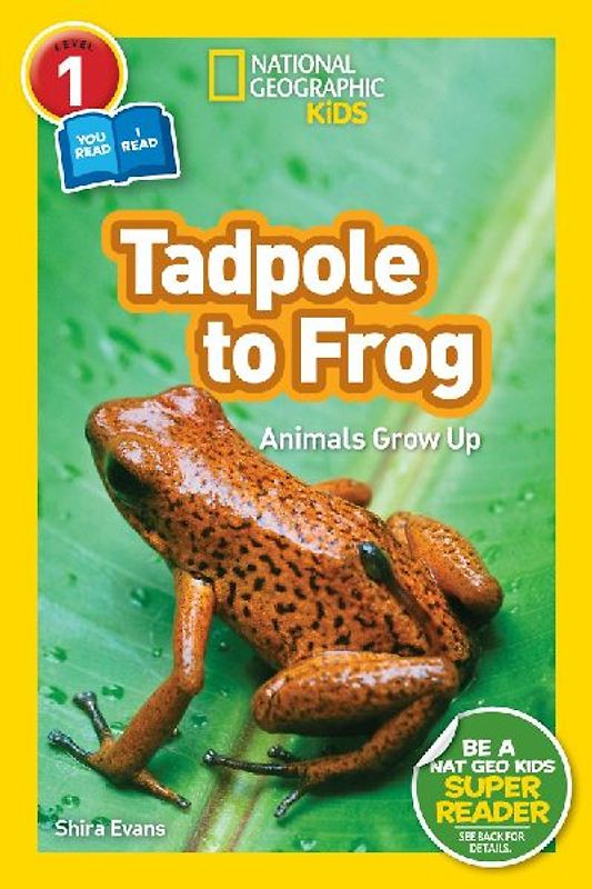 Tadpole to Frog (National Geographic Kids Readers, Level 1/Co-Reader)
