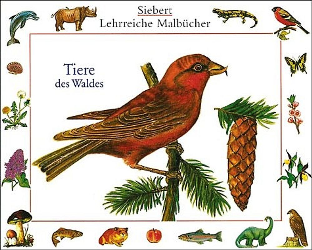 Tiere des Waldes. Malbuch. Verpackungseinheit