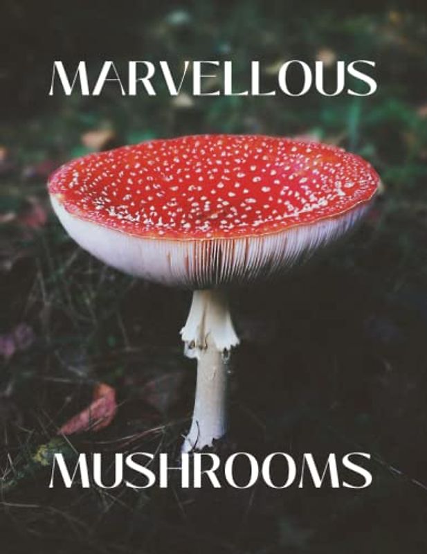 Marvellous Mushrooms: Coffee Table Picture Book