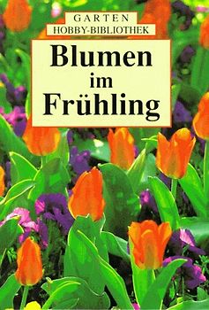 Blumen im Frühling