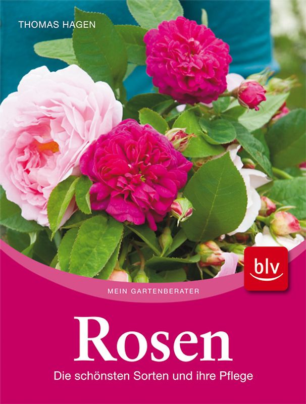 Rosen