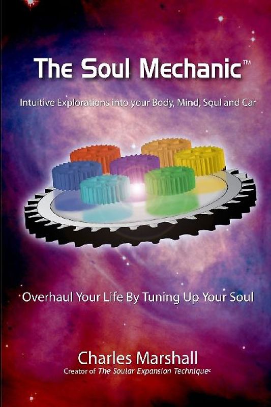The Soul Mechanic