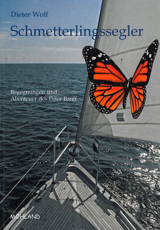 Schmetterlingssegler