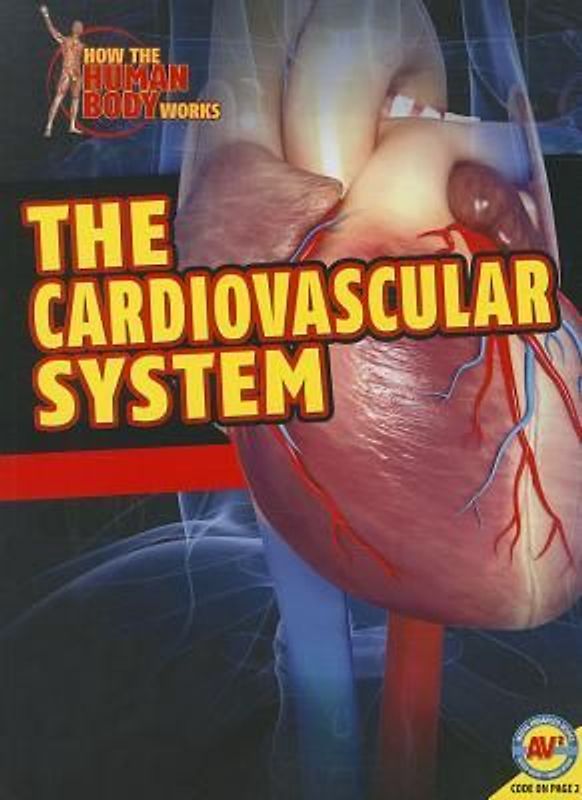 The Cardiovascular System