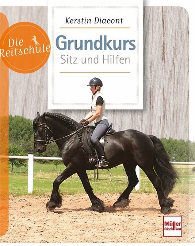 Grundkurs Sitz und Hilfen