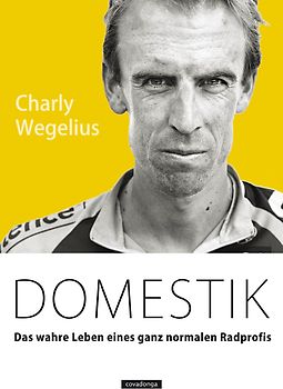 Domestik