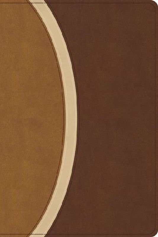 CSB Rainbow Study Bible, Brown Leathertouch (Limited Edition)