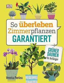 So überleben Zimmerpflanzen garantiert