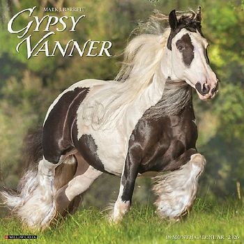 Gypsy Vanner Horse 2026 12 X 12 Wall Calendar