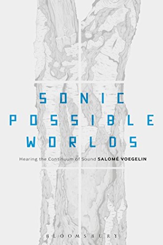 Sonic Possible Worlds: Hearing the Continuum of Sound - Voegelin, Salome