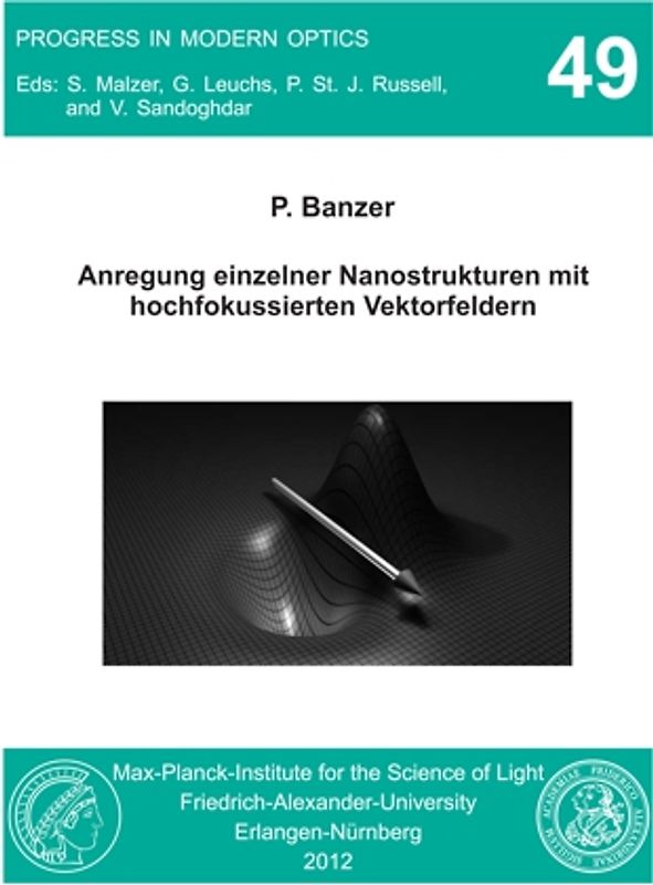 Anregung einzelner Nanostrukturen mit hochfokussierten Vektorfeldern