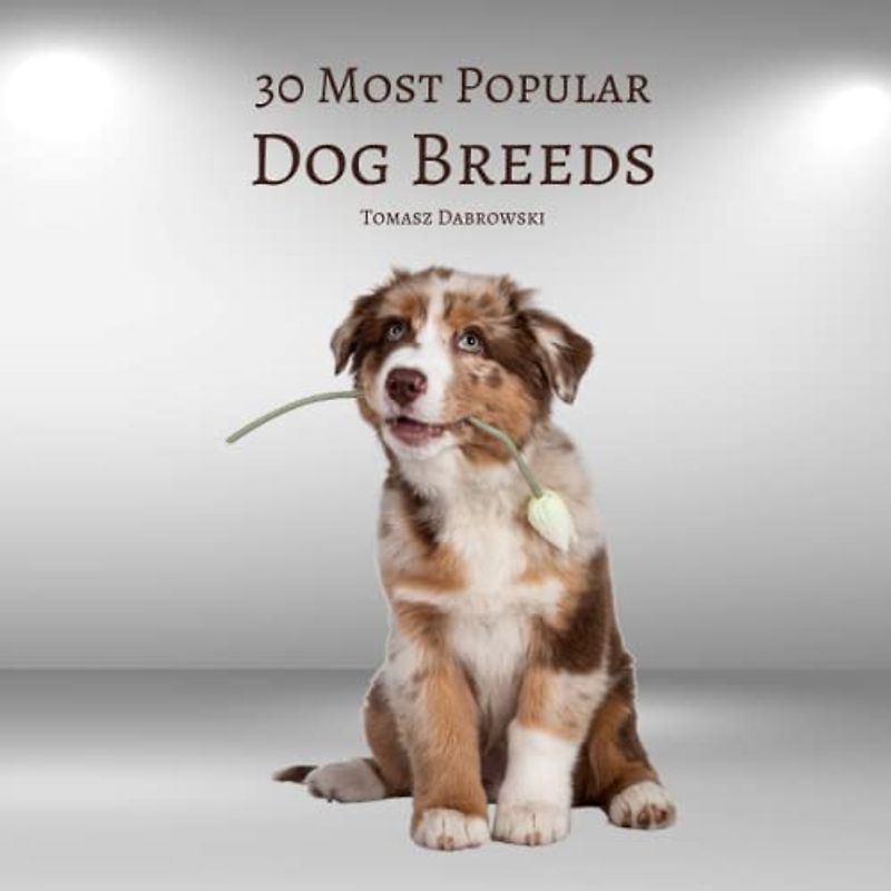 30 Most Popular Dog Breeds