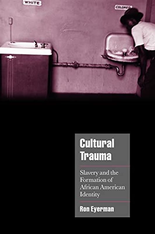 Cultural Trauma: Slavery and the Formation of African American Identity (Cambridge Cultural Social Studies)