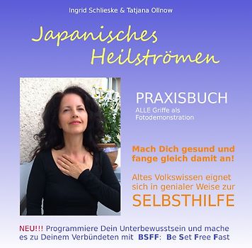 Japanisches Heilströmen: Praxisbuch