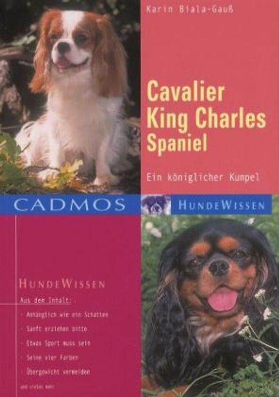 Cavalier King Charles Spaniel