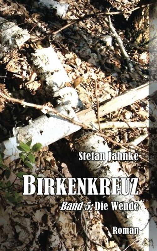 Birkenkreuz 5: Die Wende (Die Birkenkreuz-Saga, Band 5)