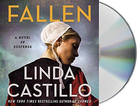 Fallen (Kate Burkholder, Band 13)