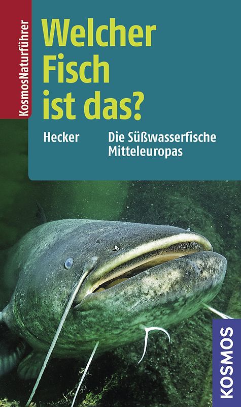 Welcher Fisch ist das?