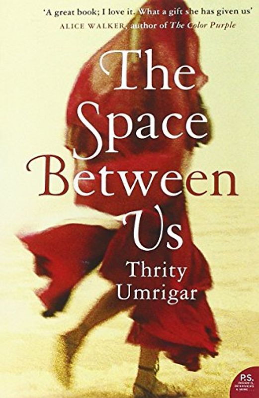 The Space Between Us - Thrity Umrigar