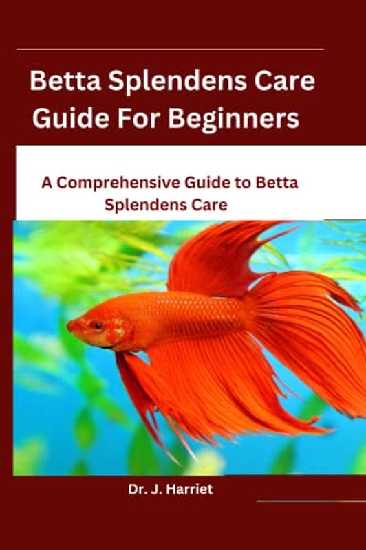 Betta Splendens Care Guide For Beginners: A Comprehensive Guide to Betta Splendens Care