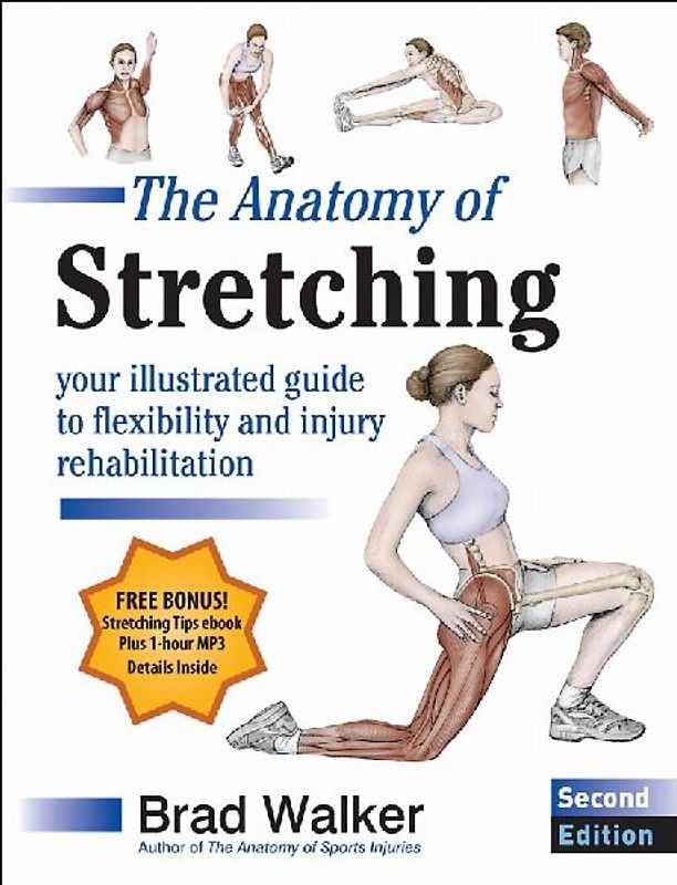 The Anatomy of Stretching