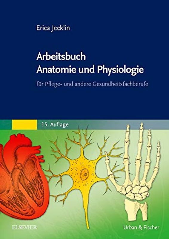 Arbeitsbuch Anatomie und Physiologie
