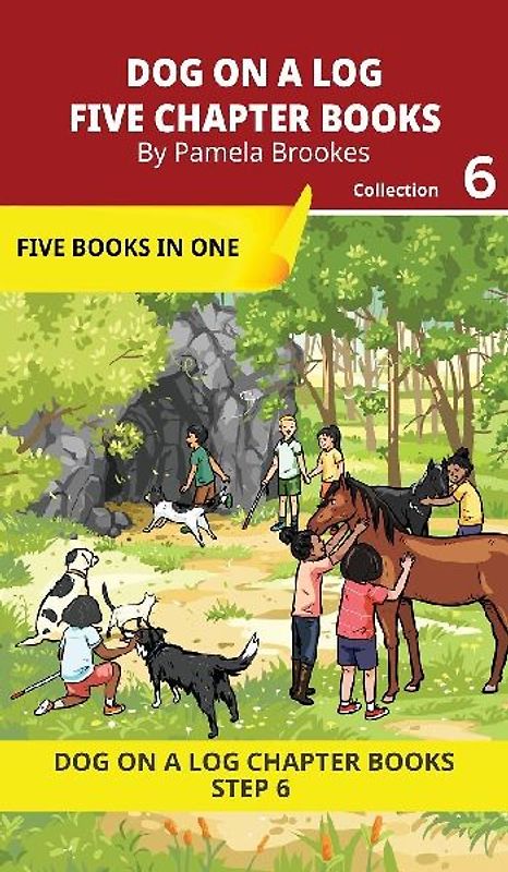 Five Chapter Books 6