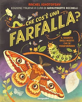Che cos'è una farfalla? Il segreto degli insetti che si trasformano