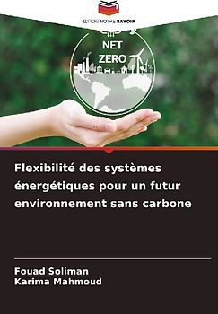 Flexibilité des systèmes énergétiques pour un futur environnement sans carbone