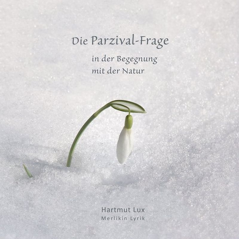 Die Parzival-Frage