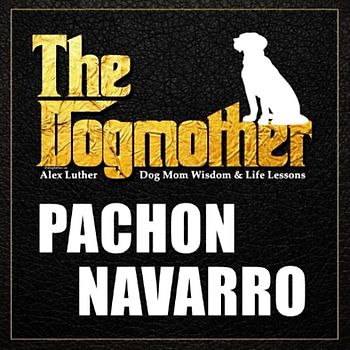 The Dogmother: Pachón Navarro: (Dog Mom Wisdom & Life Lessons)