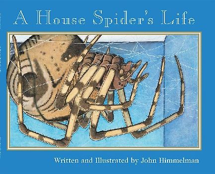A House Spider's Life (Nature Upclose)