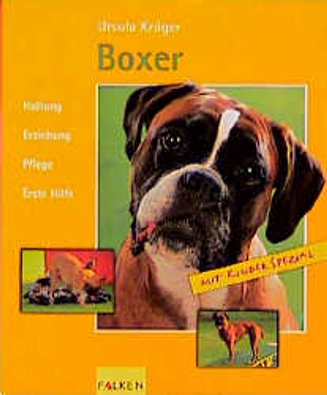 Boxer