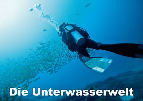 Die Unterwasserwelt (Posterbuch DIN A2 quer)