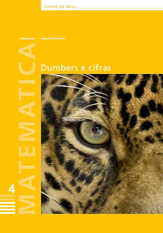 Matematica scola primara 4