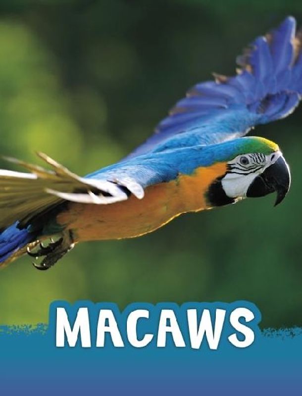 Macaws