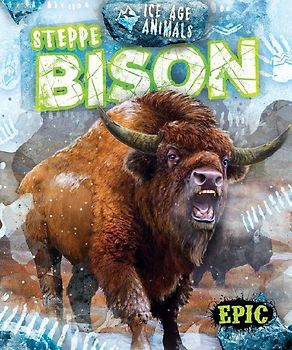 Steppe Bison