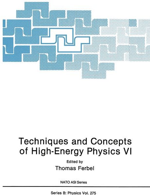 Techniques and Concepts of High-Energy Physics VI