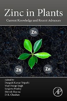 Zinc in Plants