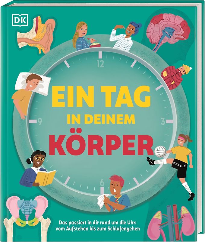 Ein Tag in deinem Körper