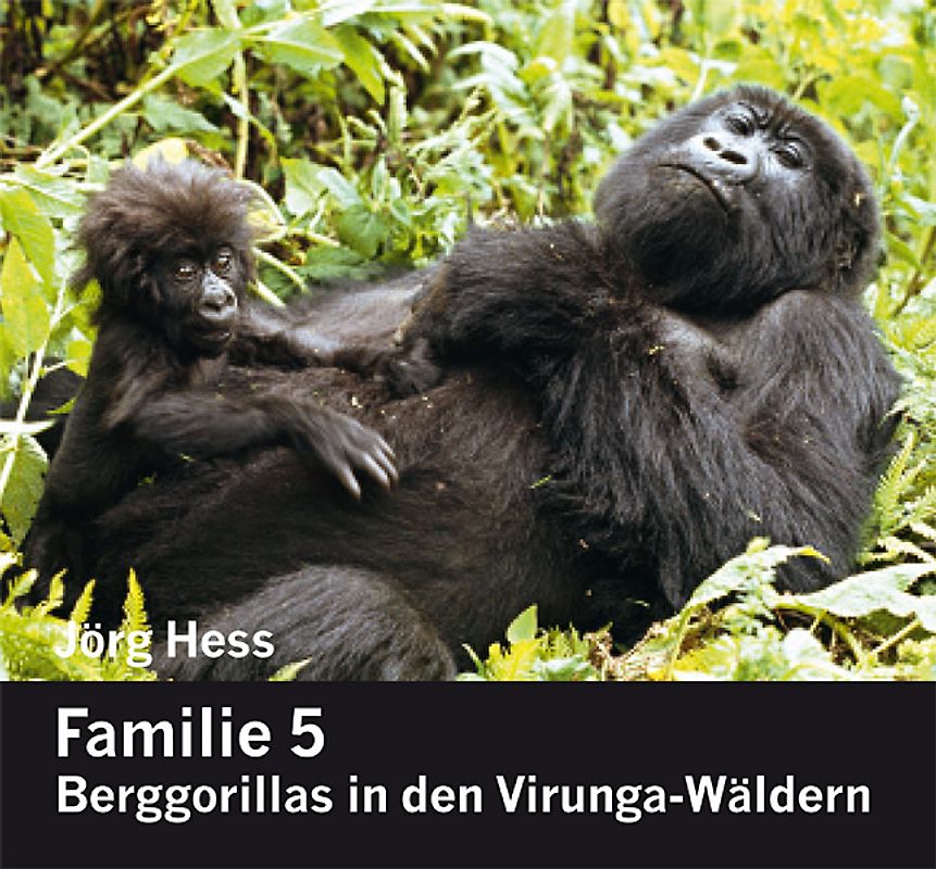Familie 5, Berggorillas in den Virunga-Wäldern