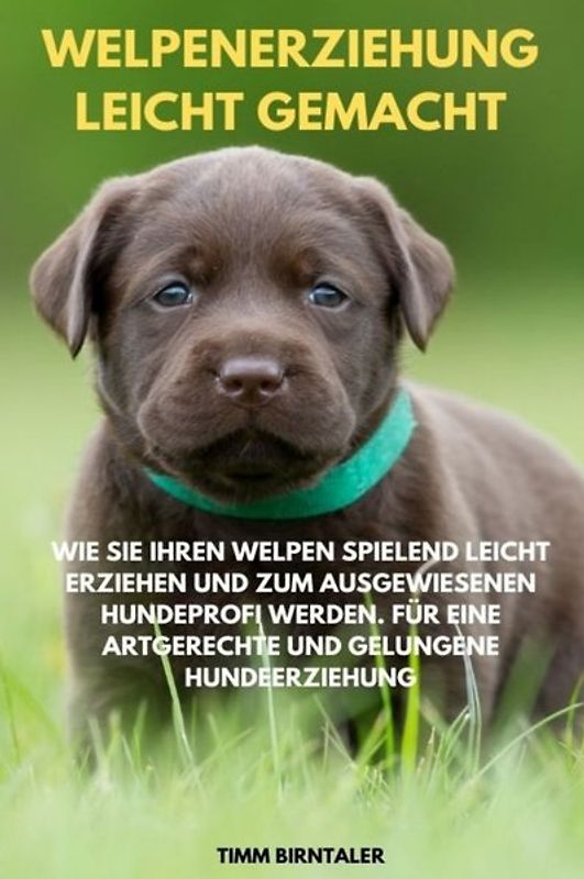 Welpenerziehung leicht gemacht: Wie Sie Ihren Welpen spielend leicht erziehen und zum ausgewiesenen Hundeprofi werden. Für eine artgerechte und gelungene Hundeerziehung.