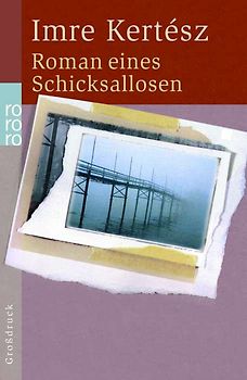 Roman eines Schicksallosen
