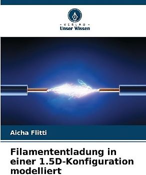 Filamententladung in einer 1.5D-Konfiguration modelliert