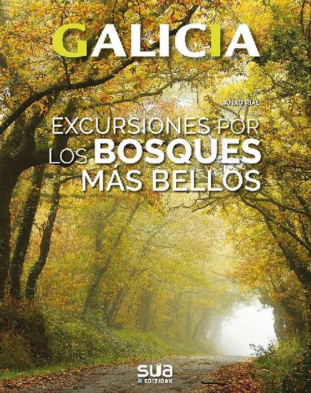 Excursiones por los bosques más bellos