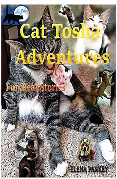 Cat Tosha Adventures