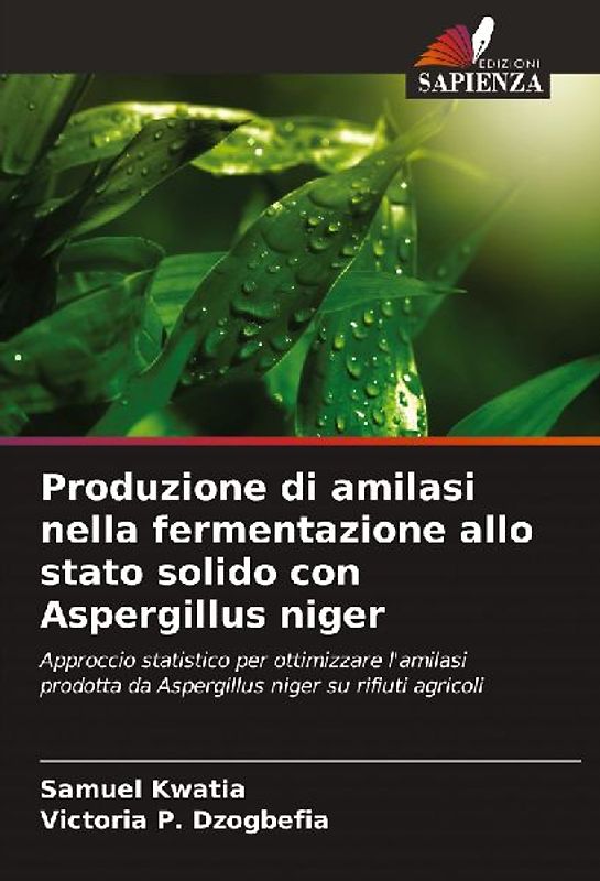 Produzione di amilasi nella fermentazione allo stato solido con Aspergillus niger