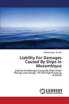 Liability For Damages Caused By Ships In Mozambique