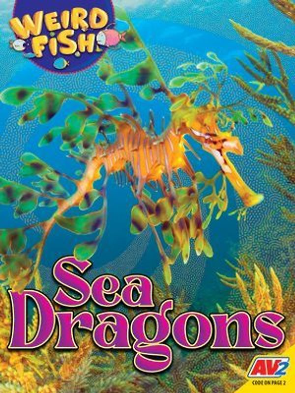Sea Dragons